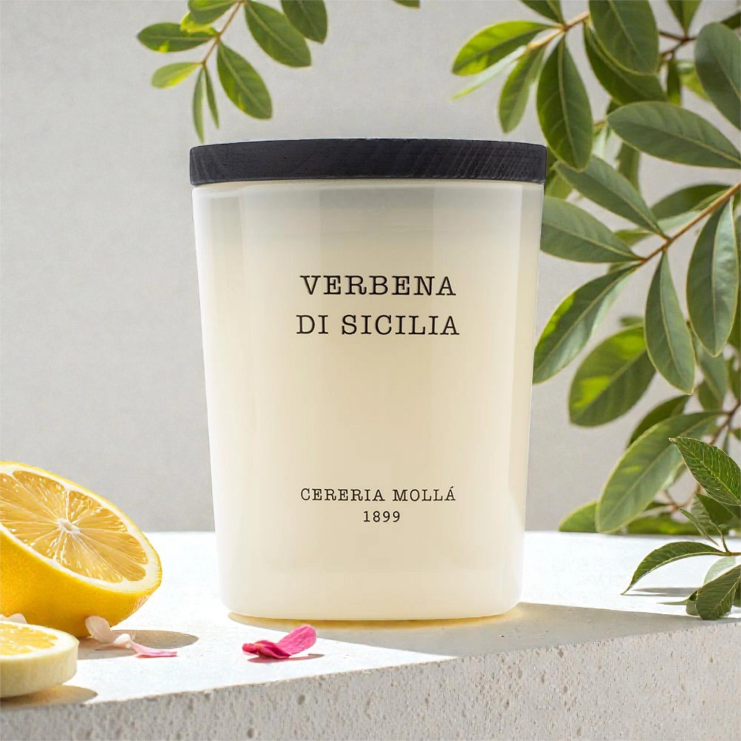 Cereria Mollá Premium Duftkerze - Amber & Sandalwood