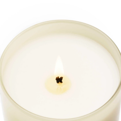 Cereria Mollá Premium Duftkerze - Amber & Sandalwood