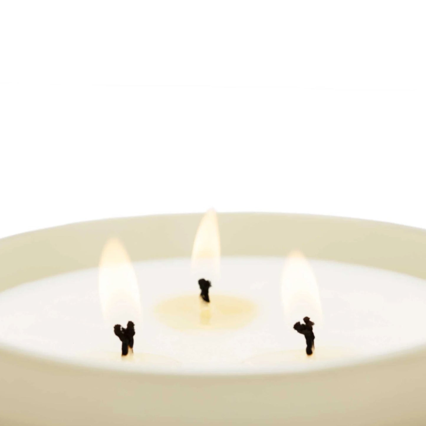 Cereria Mollá Premium Duftkerze - Amber & Sandalwood