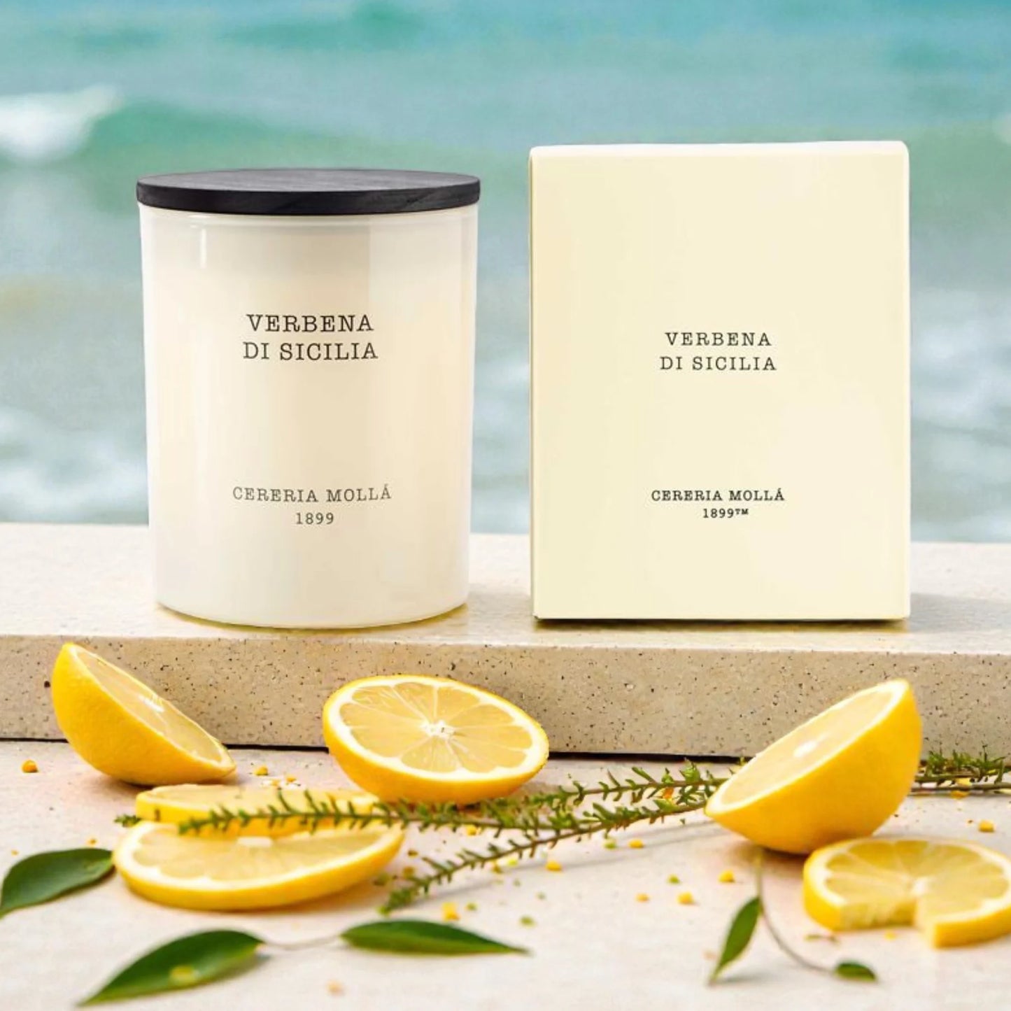 Cereria Mollá Premium Duftkerze - Amber & Sandalwood