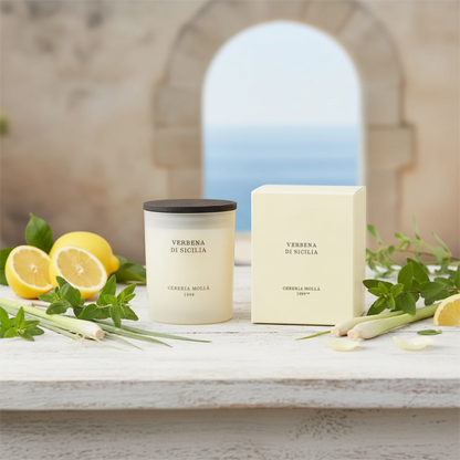 Cereria Mollá Premium Duftkerze - Amber & Sandalwood